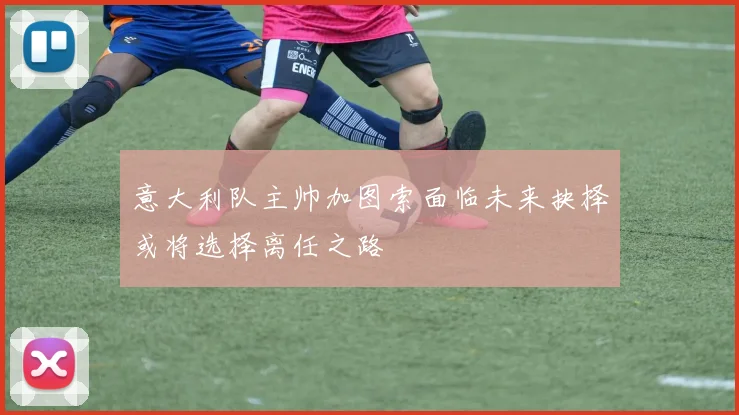 意大利队主帅加图索面临未来抉择或将选择离任之路