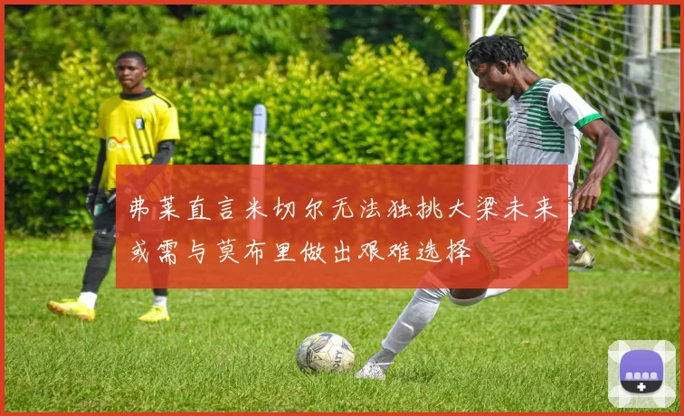 弗莱直言米切尔无法独挑大梁未来或需与莫布里做出艰难选择