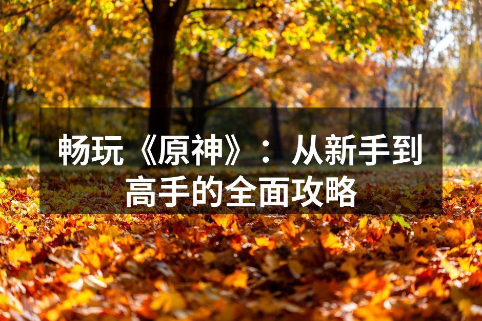 畅玩《原神》：从新手到高手的全面攻略